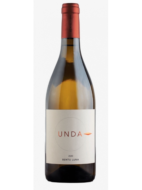 Unda